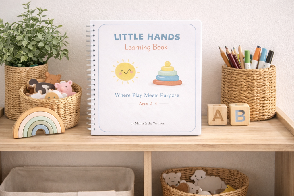 Little Hands Learning Book