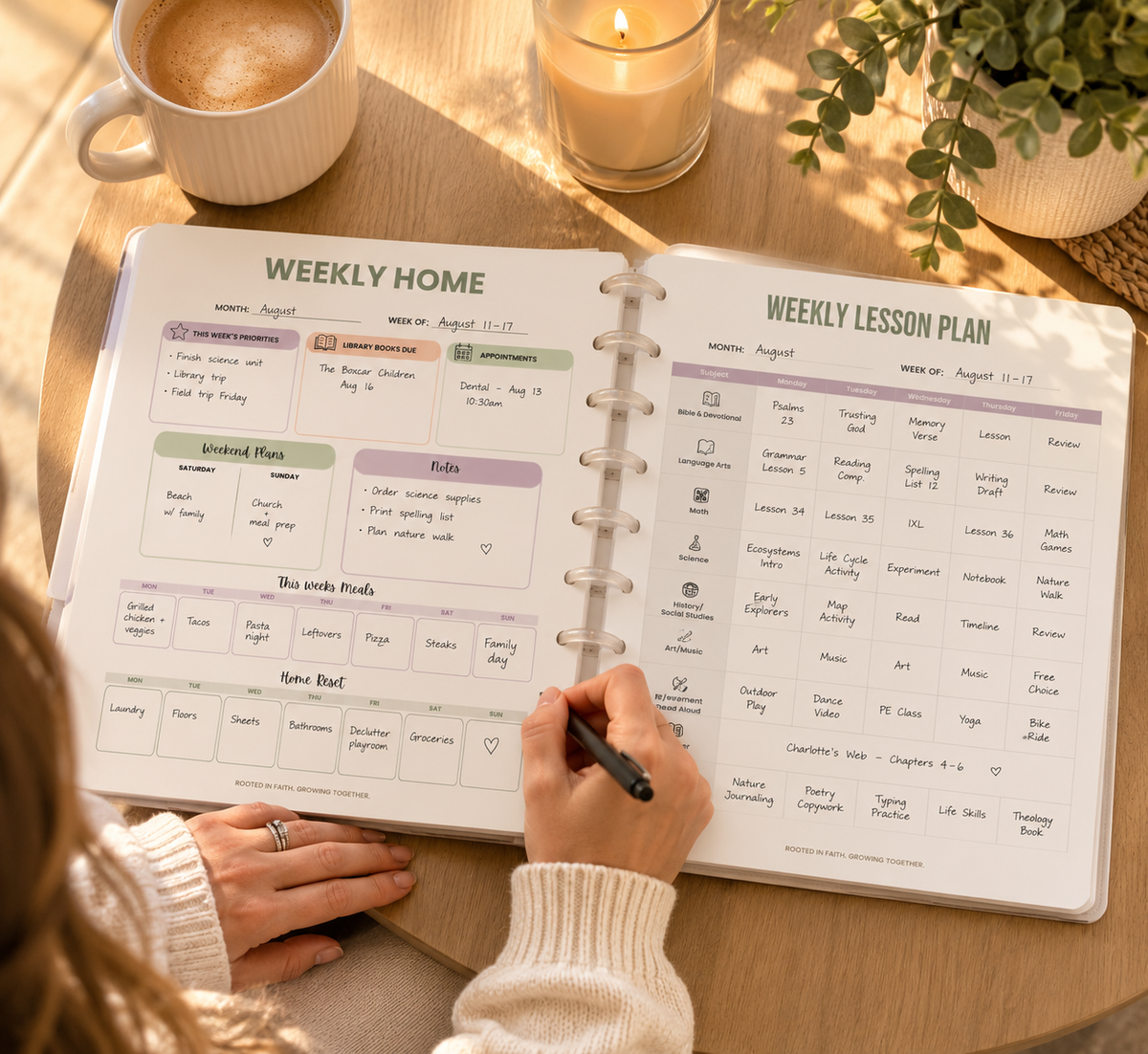 The Rooted Planner