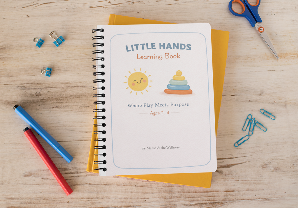 Little Hands Learning Book